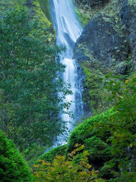 Wild, Jamie and Judy 아티스트의 Oregon-Columbia River Gorge National Scenic Area-Starvation Creek Falls작품입니다.